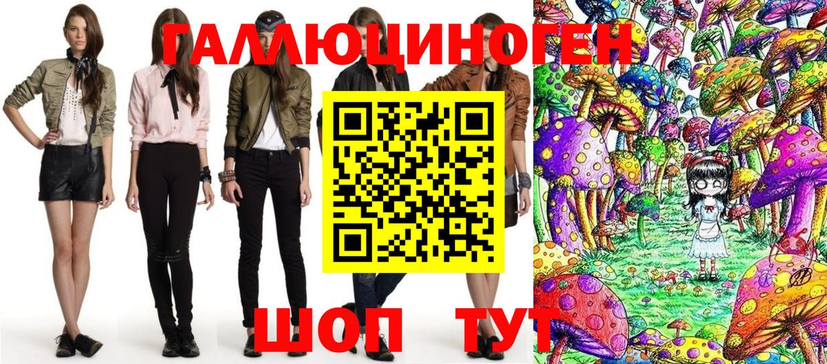 Псилоцибиновые грибы Psilocybe Борзя